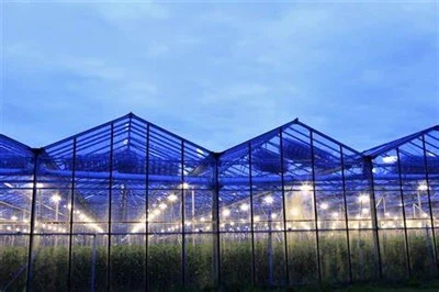 LED Greenhouse Grow Light System