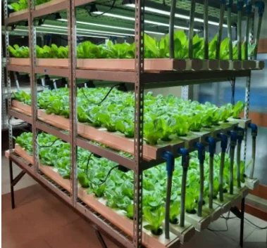 Iot בחממה חקלאות/אינטרנט של הדברים/בקר אינטליגנטי/מערכת Iot אלחוטית/מערכת מעקב אחר מטענים