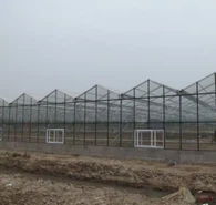 PC חממות חממת זכוכית לירקות אולם תערוכה חוות עם מערכת הידרופוניקה