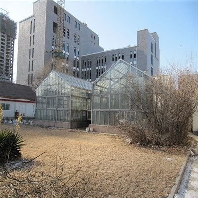 חממת הסגר ופיקוח