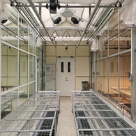 חממה מקצועית להסגר ובדיקה